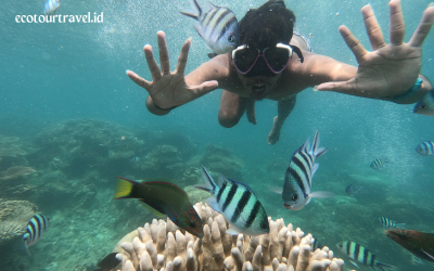 Cobain Sensasi Snorkeling di Karimunjawa Sekarang